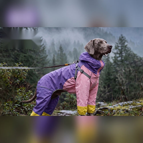 Drift Rain Armor · Violet Purple