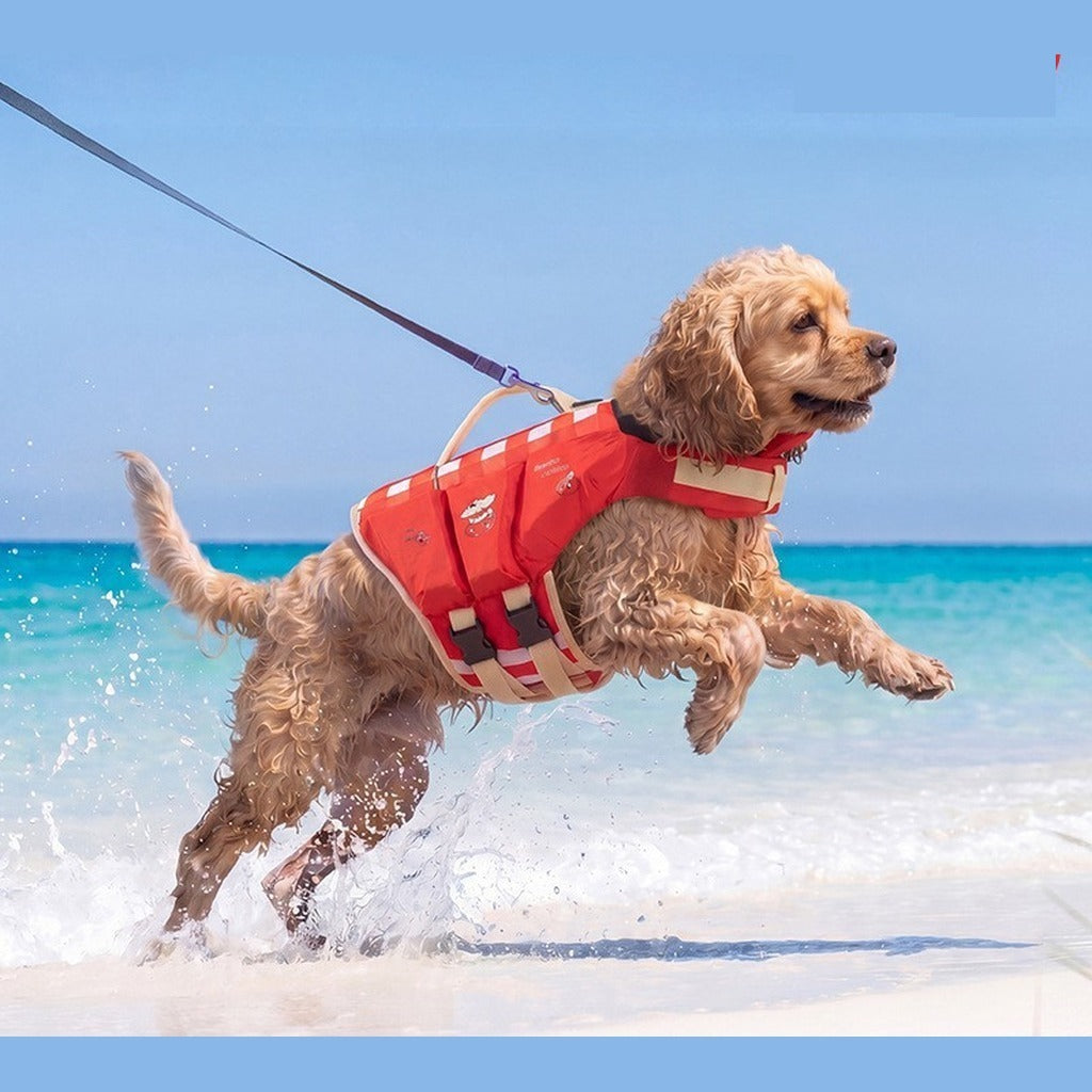 Zaverni Splash Life Jacket - Coral Red