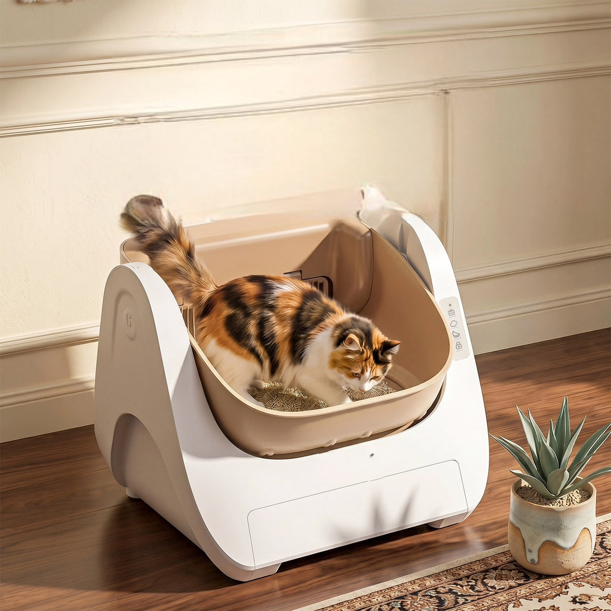 Cat using the open-top basin