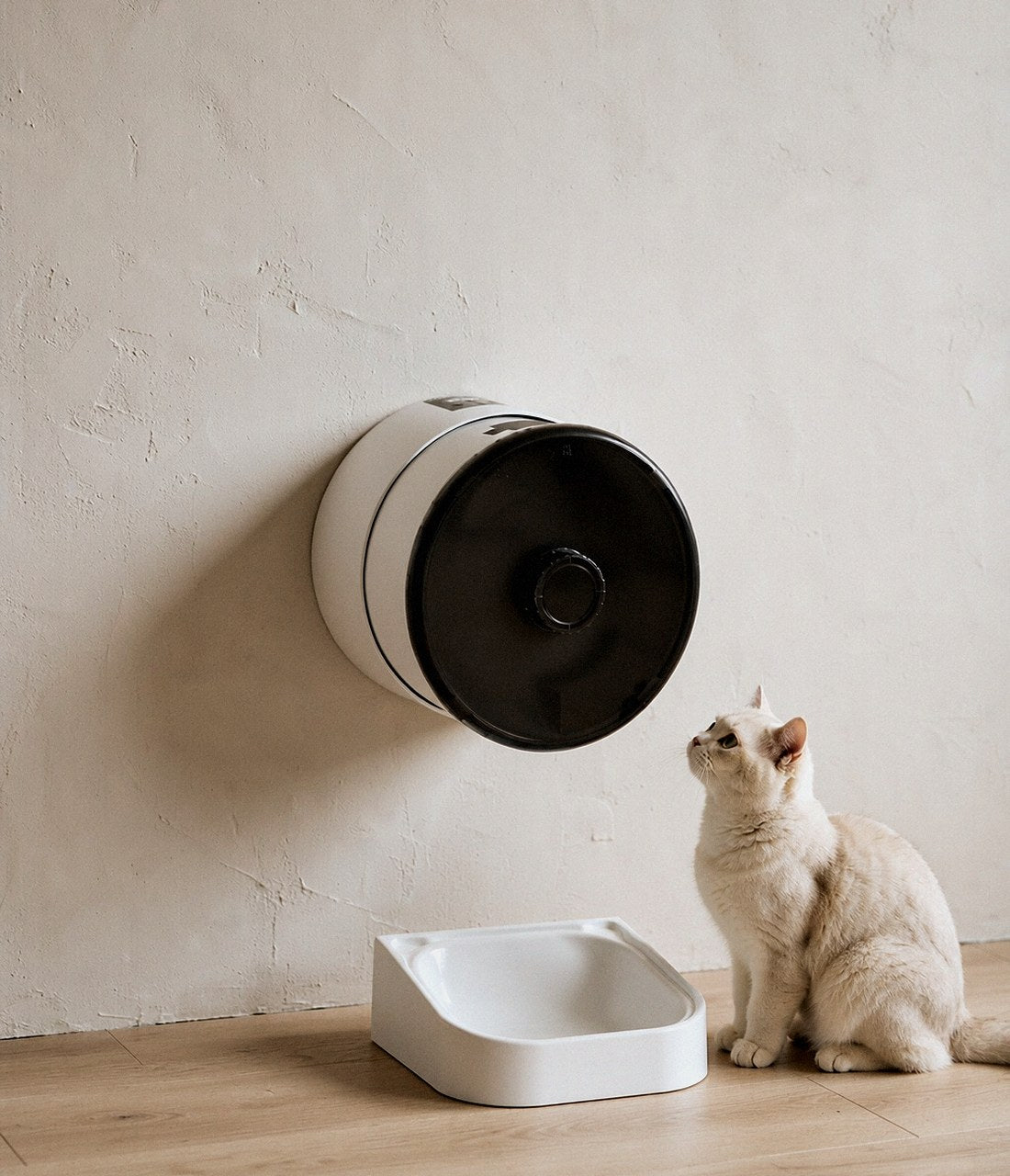 Mingle Wall Feeder